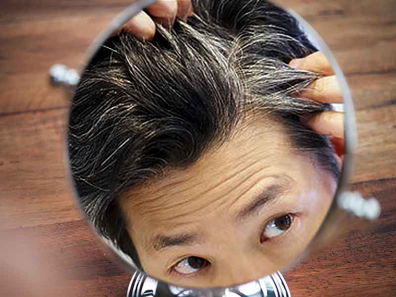 تطبيق العلاج على شعرك الرمادي علاج شيب الشعر بزيت الزيتون